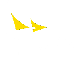 صوتي قراري - لا للتعيين